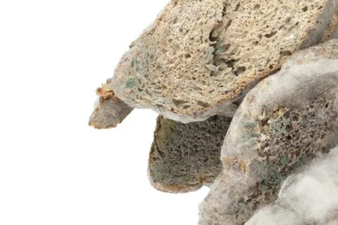 Slices of bread with mold Foto stock