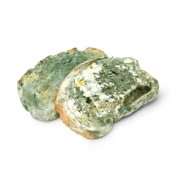 Slices of bread Stock Photos