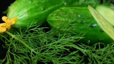 Slices of cucumber . Cucumbers in the studio Rotation Stock Footage 61459618