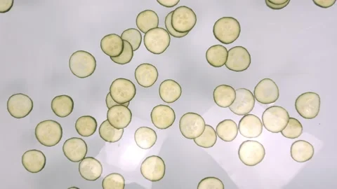 Slices of cucumber float into water Stock Footage 121220541
