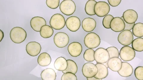 Slices of cucumber float into water Stock Footage 121220683