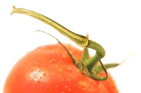 Slices of fig on a white background Stock Photos