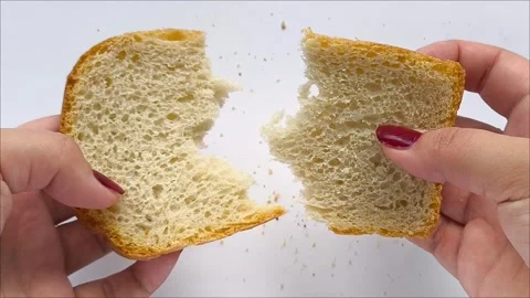 Slices of fresh white bread in a hand Stock Footage 311654116