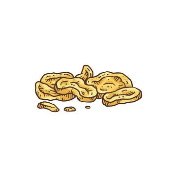 Slices of ginseng root engraving etched style vector illustration isolated. Stock Illustration