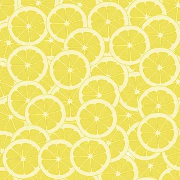 Slices of lemon. Illustrazione stock