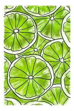 Slices of lime Illustrazione stock