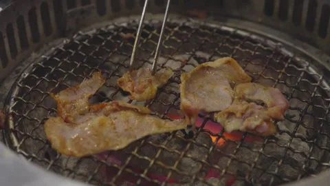 Slices of marinated meat grilling over red-hot charcoal on a wire rack. Met.. Stock Footage 336700634