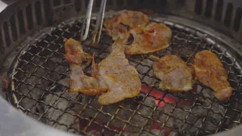 Slices of marinated meat grilling over red-hot charcoal on a wire rack. Met.. Stock Footage 336838136