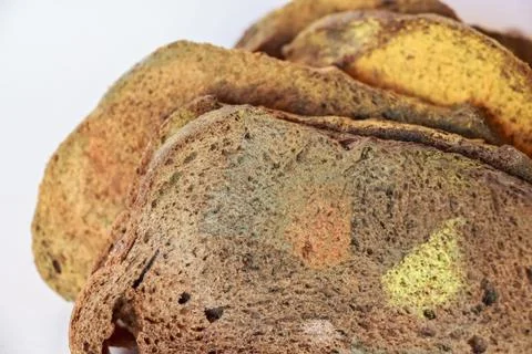 Slices of old moldy rye bread on white background Foto stock