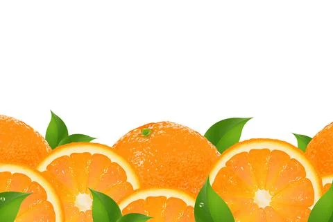 Slices Of Orange Border Illustrazione stock