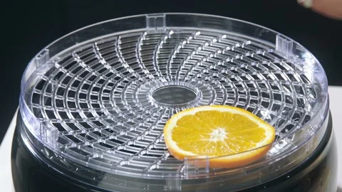 Slices of orange in Dehydrator Stock-Footage 222807942