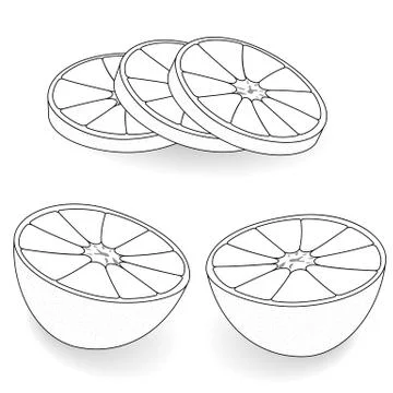 Slices of orange on a light background. 스톡 일러스트