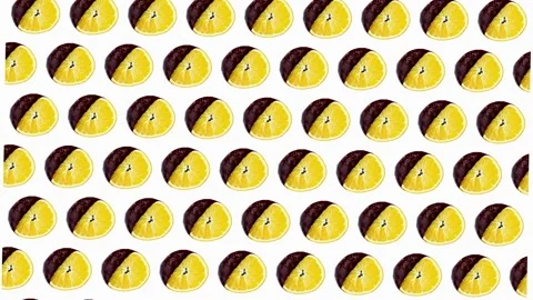 Slices of oranges in chocolate pattern on white background. High quality 4k Stock Footage 163438587