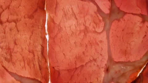 Slices of pork ham rotating on white background in 4K Vídeos de archivo 86641719