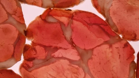 Slices of pork ham rotating on white background in 4K. Vídeo Stock 89892093