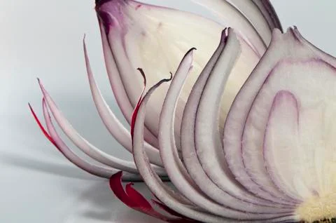 Slices of red onion Stock Photos