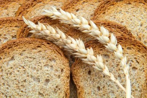 Slices of toasted bread Stock Photos