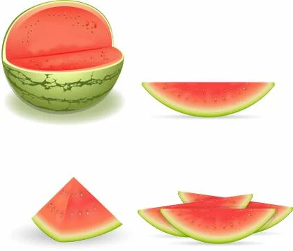 Slices of watermelon Stock Illustration