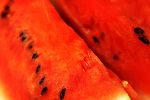 Slices of watermelon Stock Photos