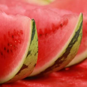 Slices of watermelon Stock Photos