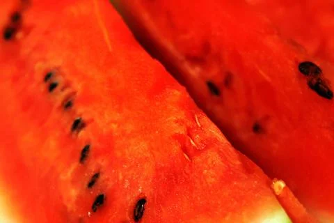 Slices of watermelon Stock Photos
