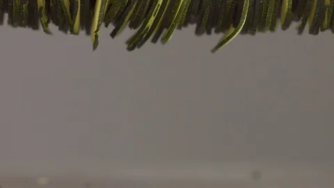 Slices of zucchini falling on table. Closeup Stock Footage 108312434