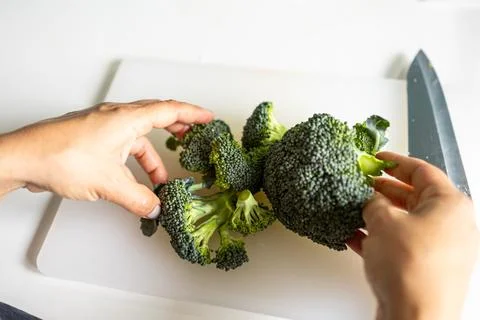 Slicing broccoli. Stock Photos