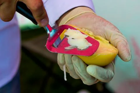 Slicing cheese for tasting Stock Photos