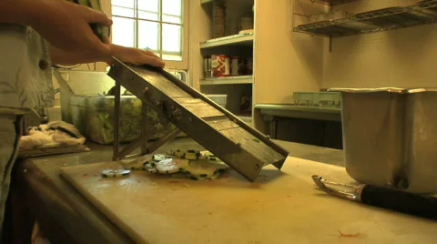 Slicing Cucumbers 01 Vídeo Stock 297784