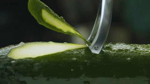 Slicing a fresh cucumber Stock Footage 172512749