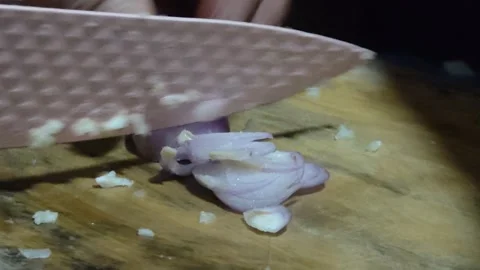 Slicing onions Stock Footage 306506002