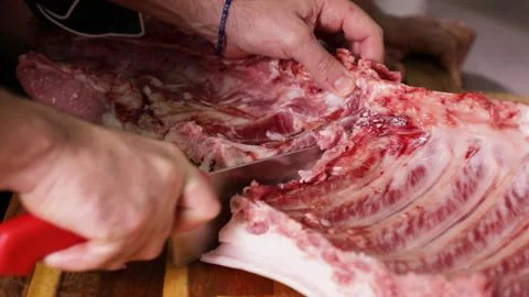 Slicing Pork Rib in a macro shot Stock Footage 248748706