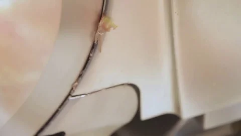 Slicing Prosciutto on the machine Stock Footage 71628021