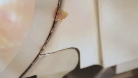 Slicing Prosciutto on the machine Stock Footage 75456956