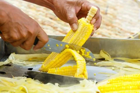 Slicing steamed corn Stock Photos