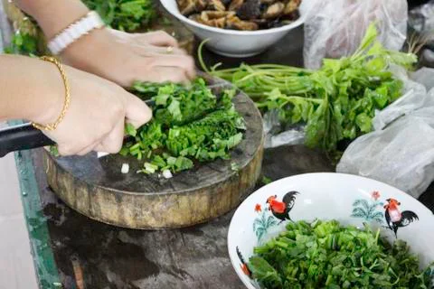 Slicing vegetables 库存照片