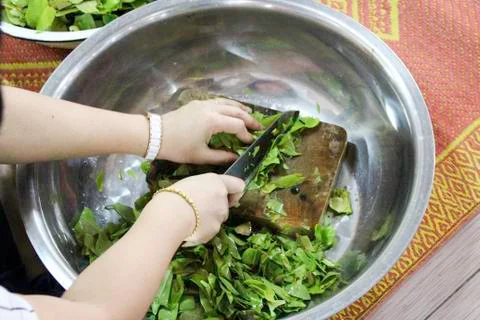 Slicing vegetables Stock Photos