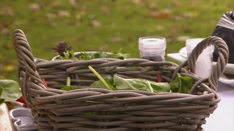 Slicing vegetables shot Stock Footage 88048073