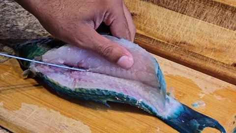Slicing vibrant parrot fish for culinary preparation on wooden board Stock Footage 296262682
