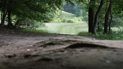 Slide and tilt on trail Stock Footage 86790452