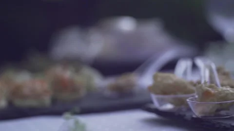 Slide on apetizers, wedding Stock Footage 55040339