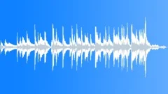 Slide Blues Acoustic 1Stock Music