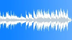 Slide Blues Acoustic 2 Stock Music