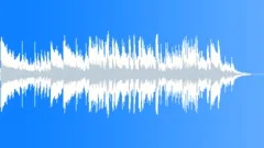 Slide Blues Acoustic 6 Stock Music