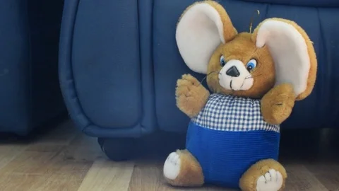 Slide camera move with teddy bear and tom Stock Footage 73869720