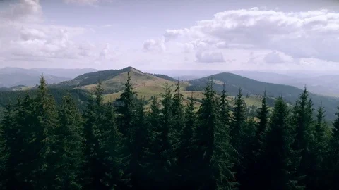 Slide The Camera Over The Forest Overlooking The mountains. 스톡 동영상 79615982