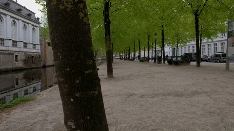 Slide clip past tree to Dijver Canal in Bruges Belgium Stock Footage 90453798