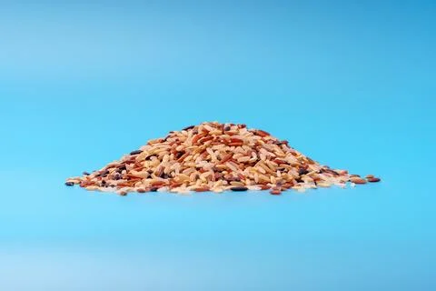 Slide of different types of rice on blue background Stock Photos