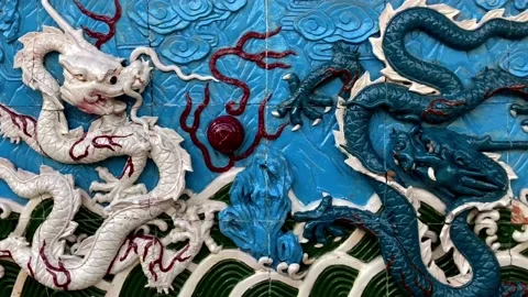 Slide the dragons wall 動画素材 210177428