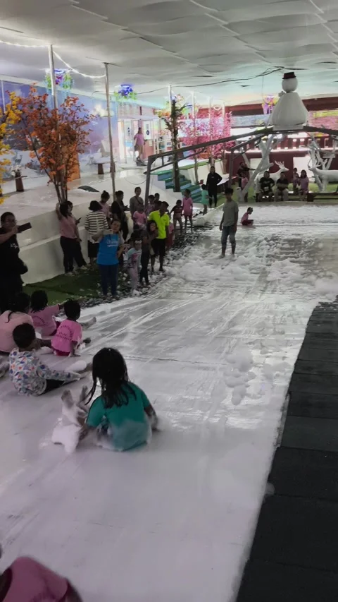 Slide Stock Footage 275943234